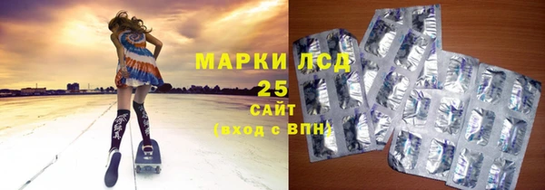 ГАЛЛЮЦИНОГЕННЫЕ ГРИБЫ Новозыбков