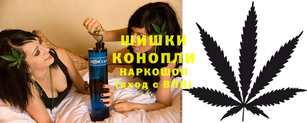 ГАЛЛЮЦИНОГЕННЫЕ ГРИБЫ Новокубанск