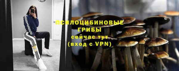 ГАЛЛЮЦИНОГЕННЫЕ ГРИБЫ Новокубанск