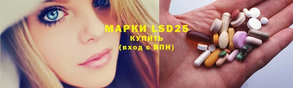 ГАЛЛЮЦИНОГЕННЫЕ ГРИБЫ Новозыбков