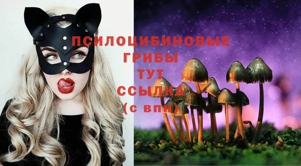 ГАЛЛЮЦИНОГЕННЫЕ ГРИБЫ Новокубанск