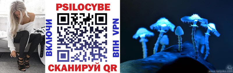 Псилоцибиновые грибы мицелий  Купить где  Правдинск 